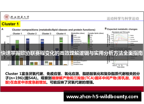 快速掌握欧协联赛程变化的高效理解逻辑与实用分析方法全面指南 快速掌握欧协联赛程变化的高效理解逻辑与实用分析方法全面指南