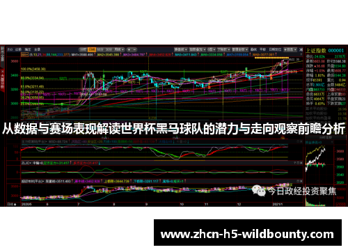从数据与赛场表现解读世界杯黑马球队的潜力与走向观察前瞻分析