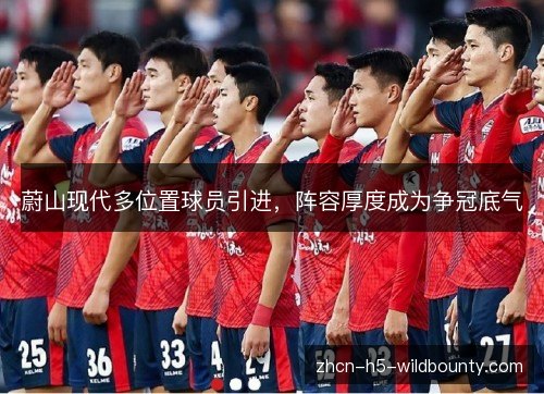 蔚山现代多位置球员引进,阵容厚度成为争冠底气 蔚山现代多位置球员引进,阵容厚度成为争冠底气
